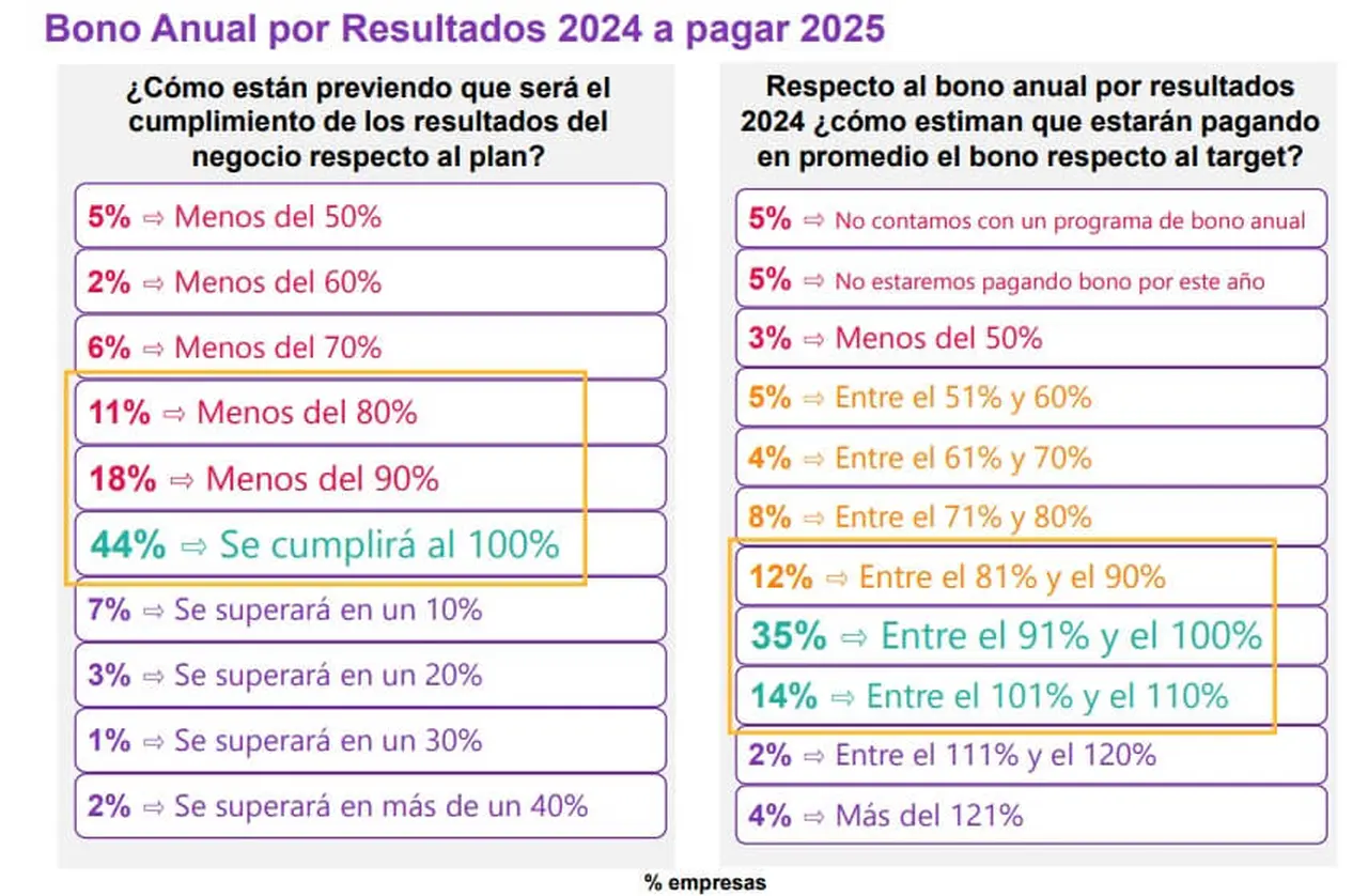 Bonos por desempeño 2024  (Fuente WTW)