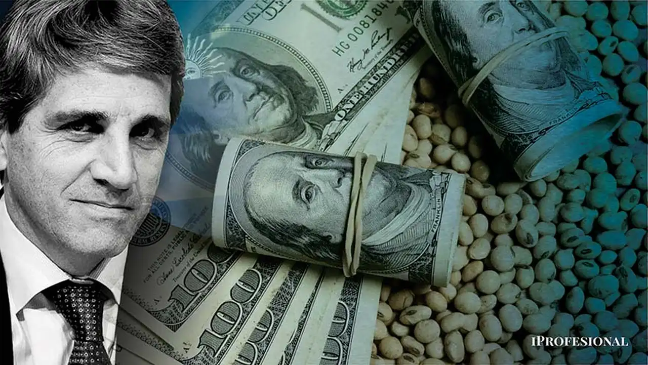 Liquidación récord de dólares y un rumor en la City: ¿Caputo volvió a comprar para las reservas?