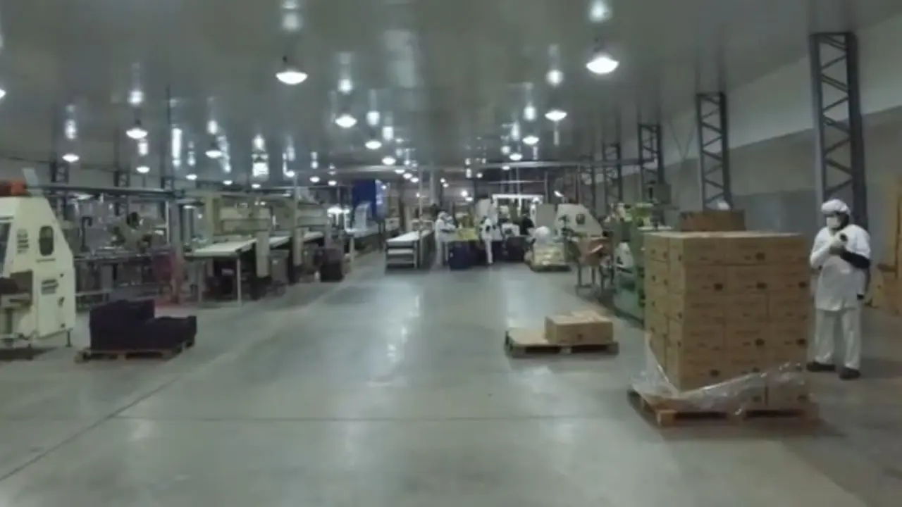 Empresa alimenticia anuncia una inversión de 8 millones de dólares para la producción de panificados