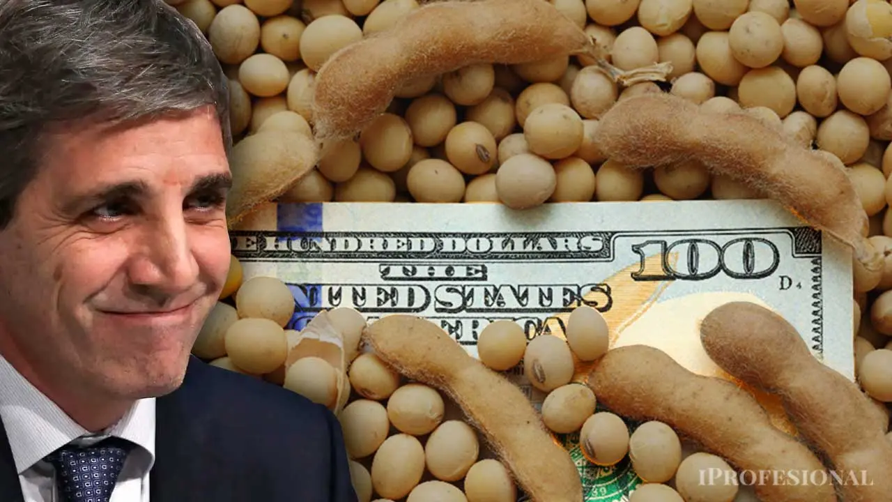 Celebra Caputo: en solo tres días el agro liquidó exportaciones por u$s4.100 millones