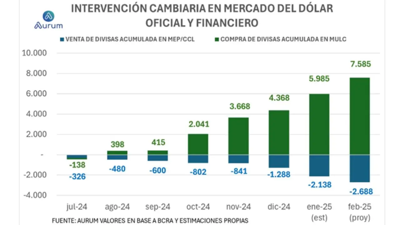 BCRA quemó casi 40% de las reservas que compró y pierde poder de fuego