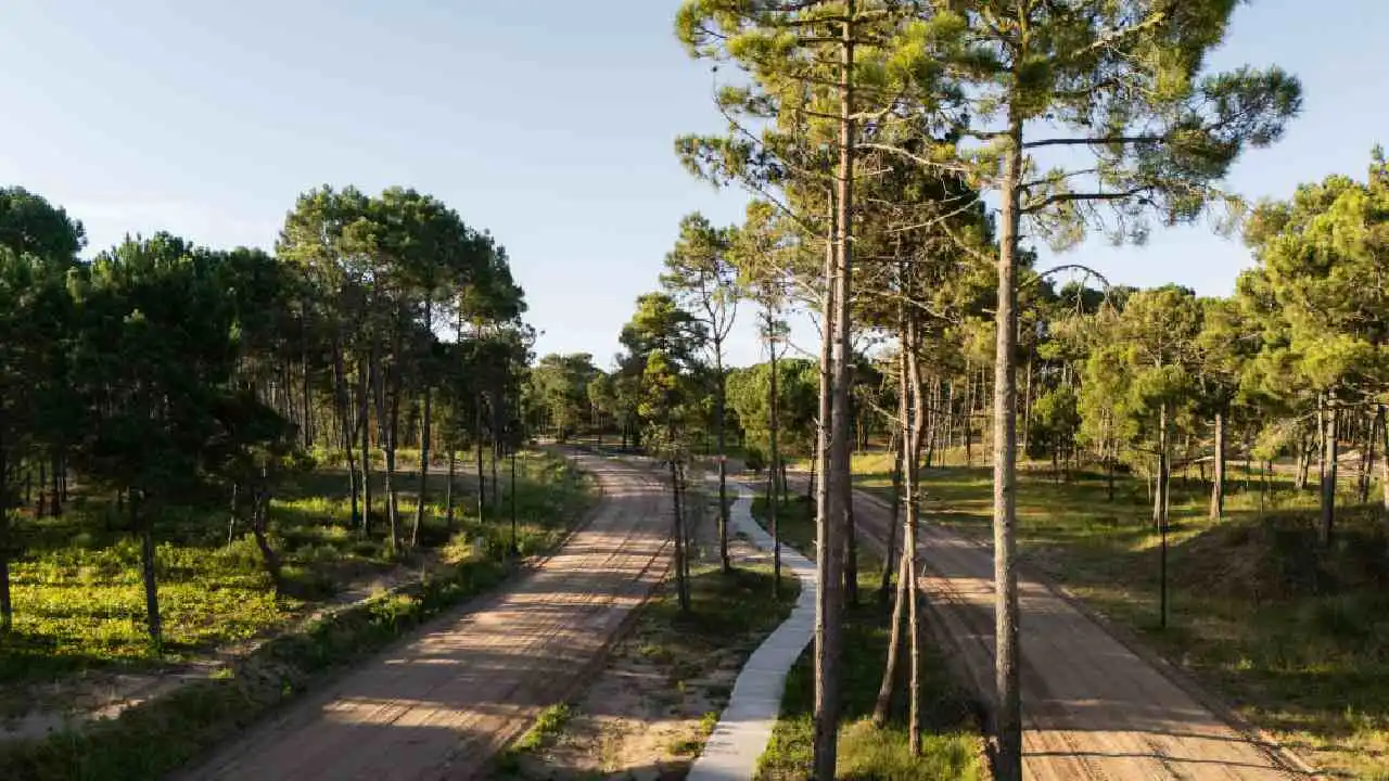 Pinamar experimenta una demanda creciente de lotes