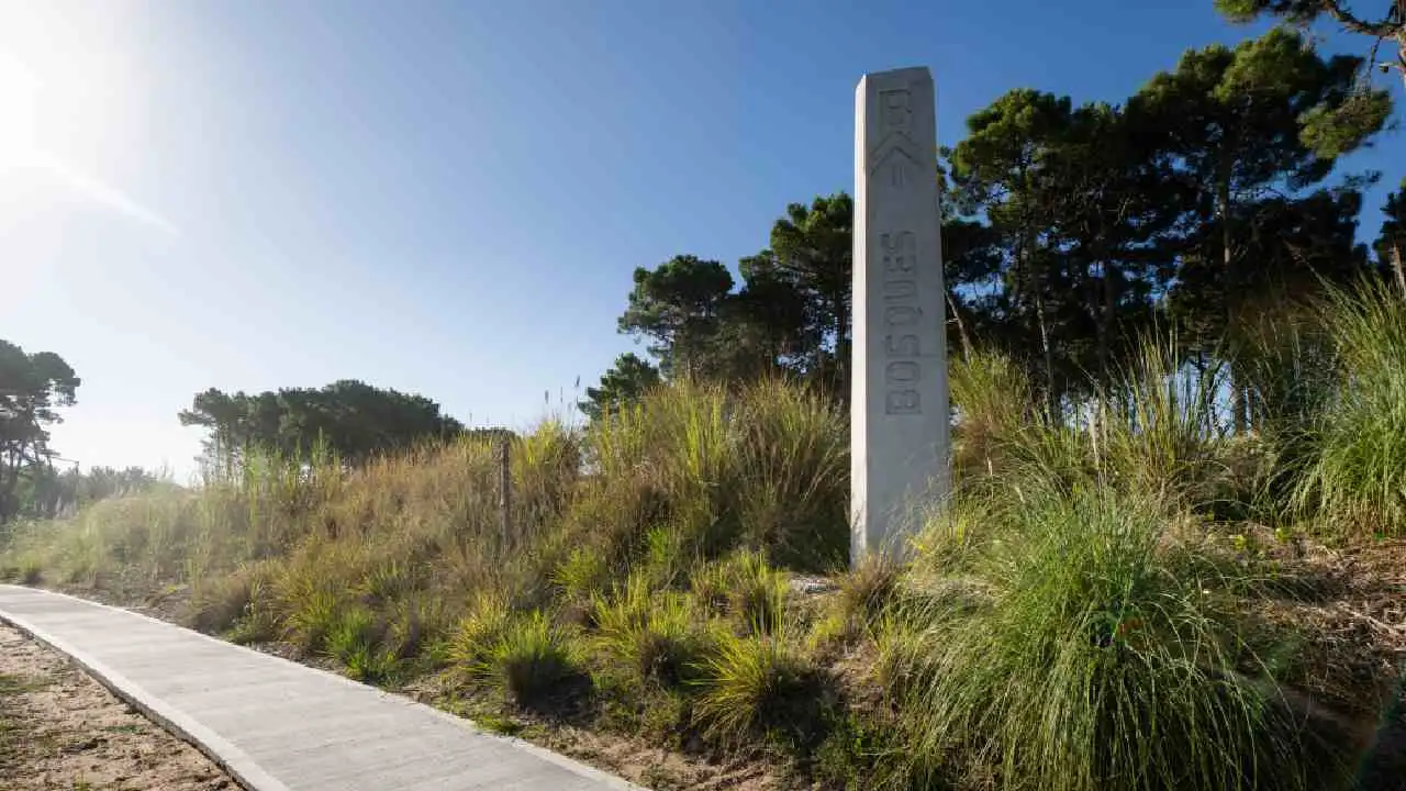 Bosques es un barrio de lotes de amplia superficie rodeados de pinos marítimos