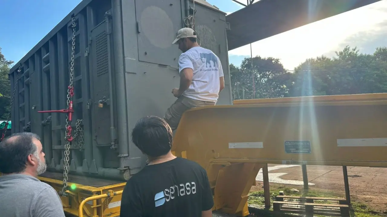 Así trasladaron a Pupy, la última elefante del Ecoparque porteño, hacia Brasil