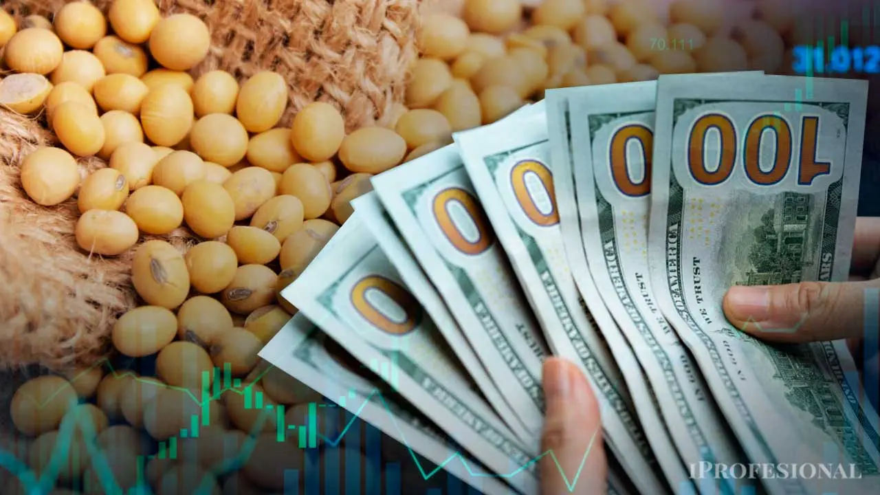 ¿Qué país apuesta fuerte por la soja argentina tras la suspensión de retenciones?