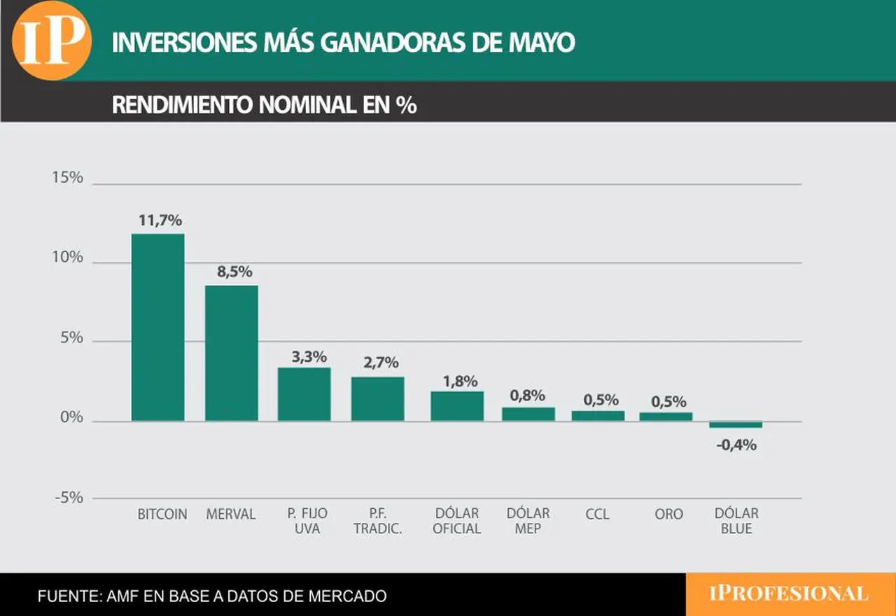 Las inversiones más ganadoras de mayo fueron Bitcoin y acciones del Merval.