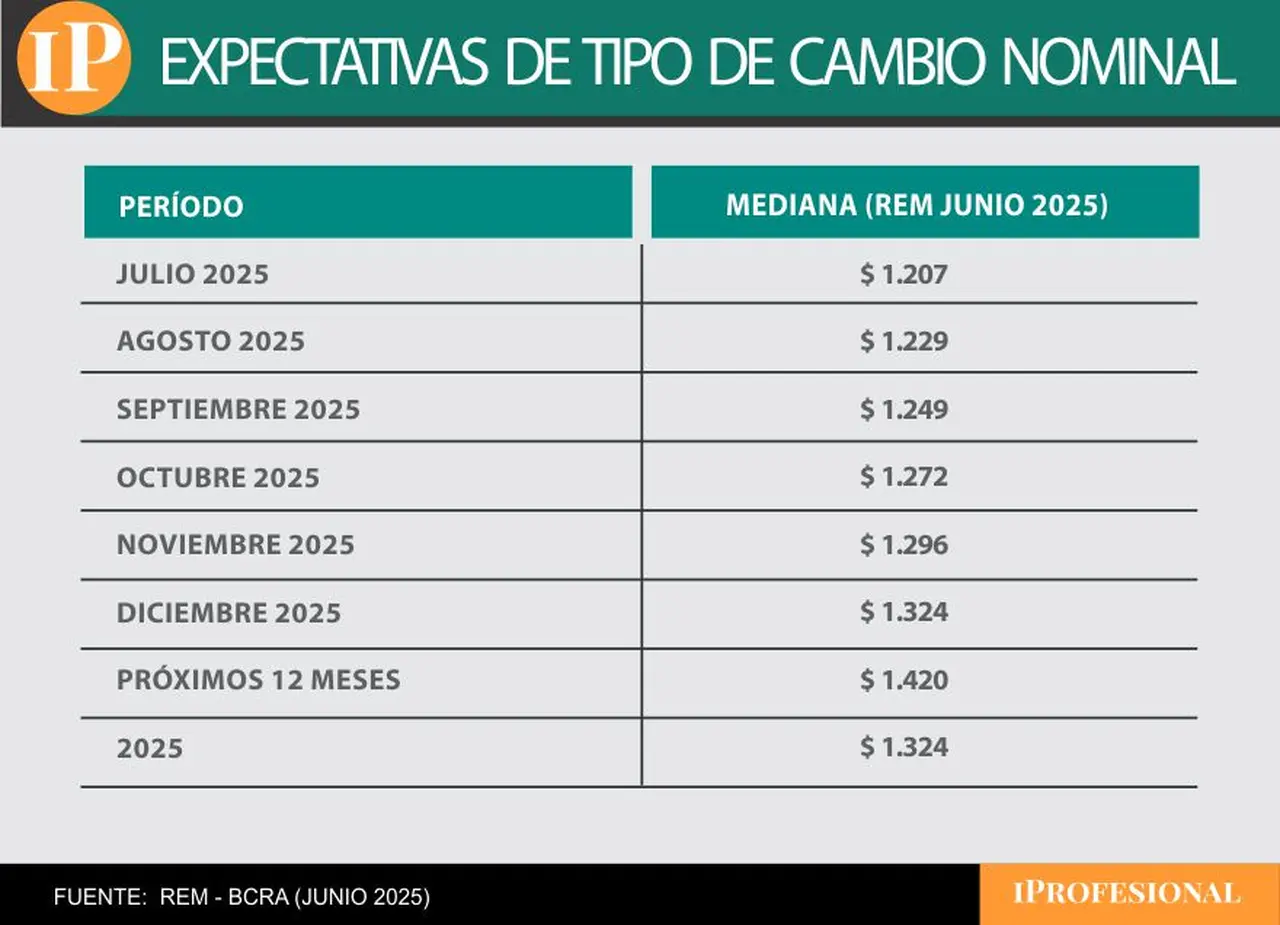 El precio de dólar para fin de año previsto es de $1.324, según el REM del Banco Central.