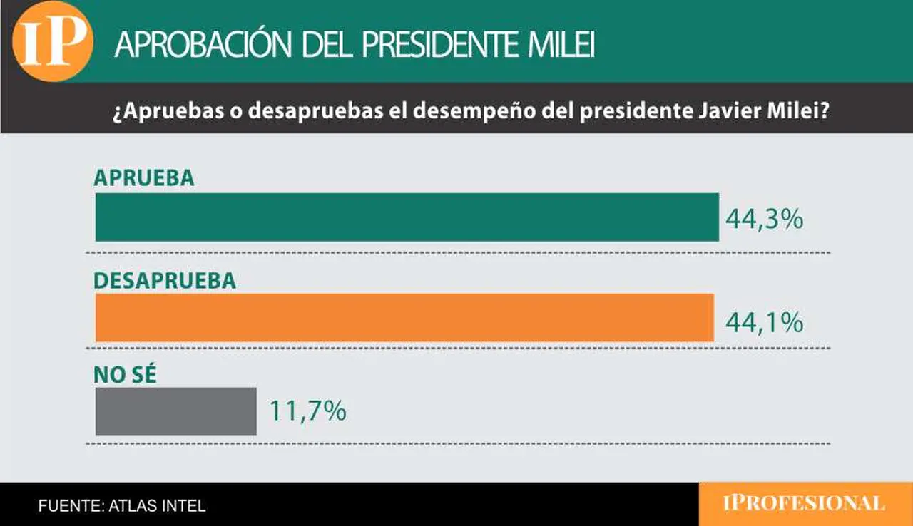 La figura de Milei como Presidente genera una polarización extrema en la opinión pública