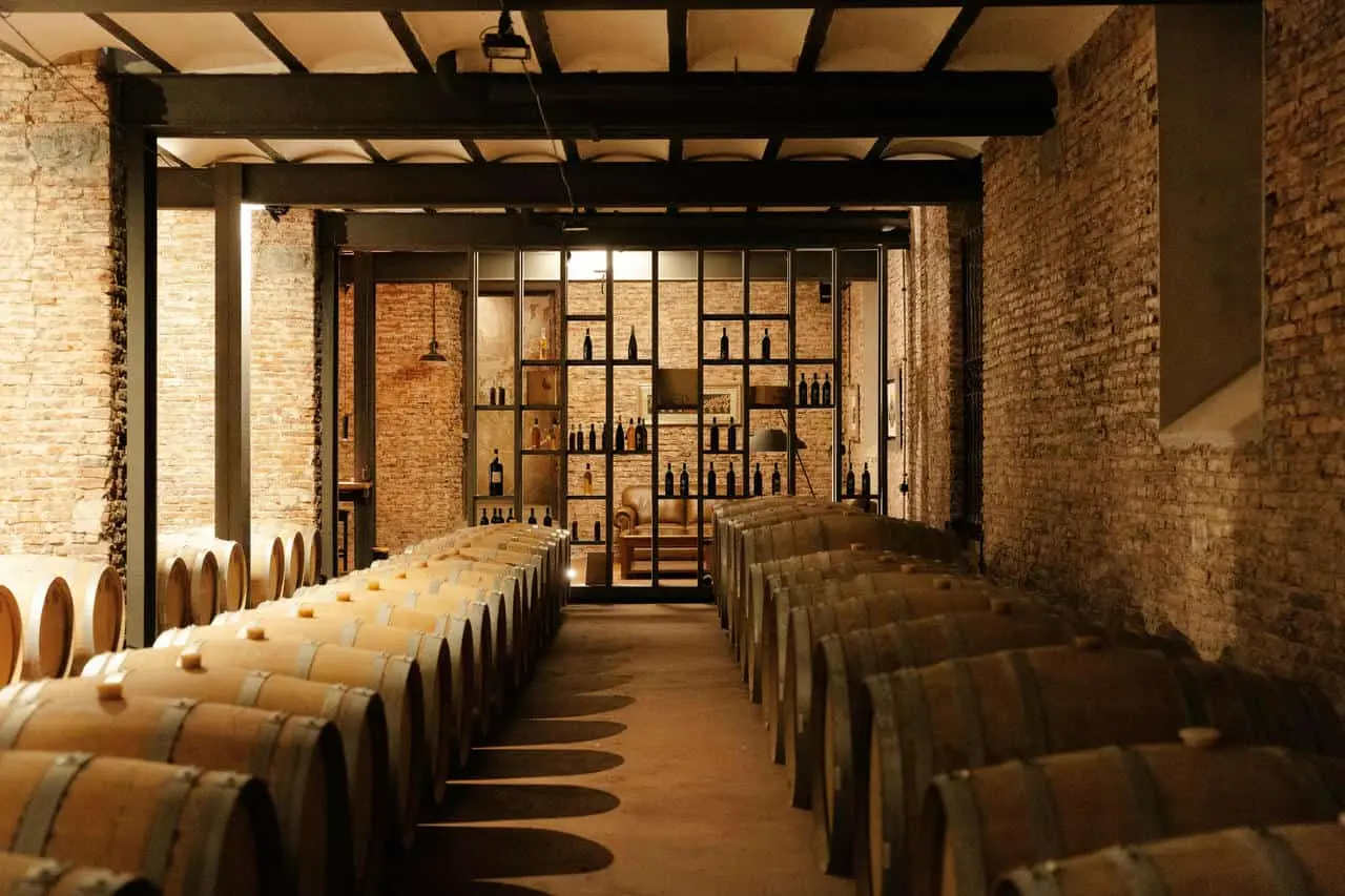 Colonia seduce con su Ruta del Vino y del Queso, un viaje entre viñedos ancestrales, bodegas boutiqu