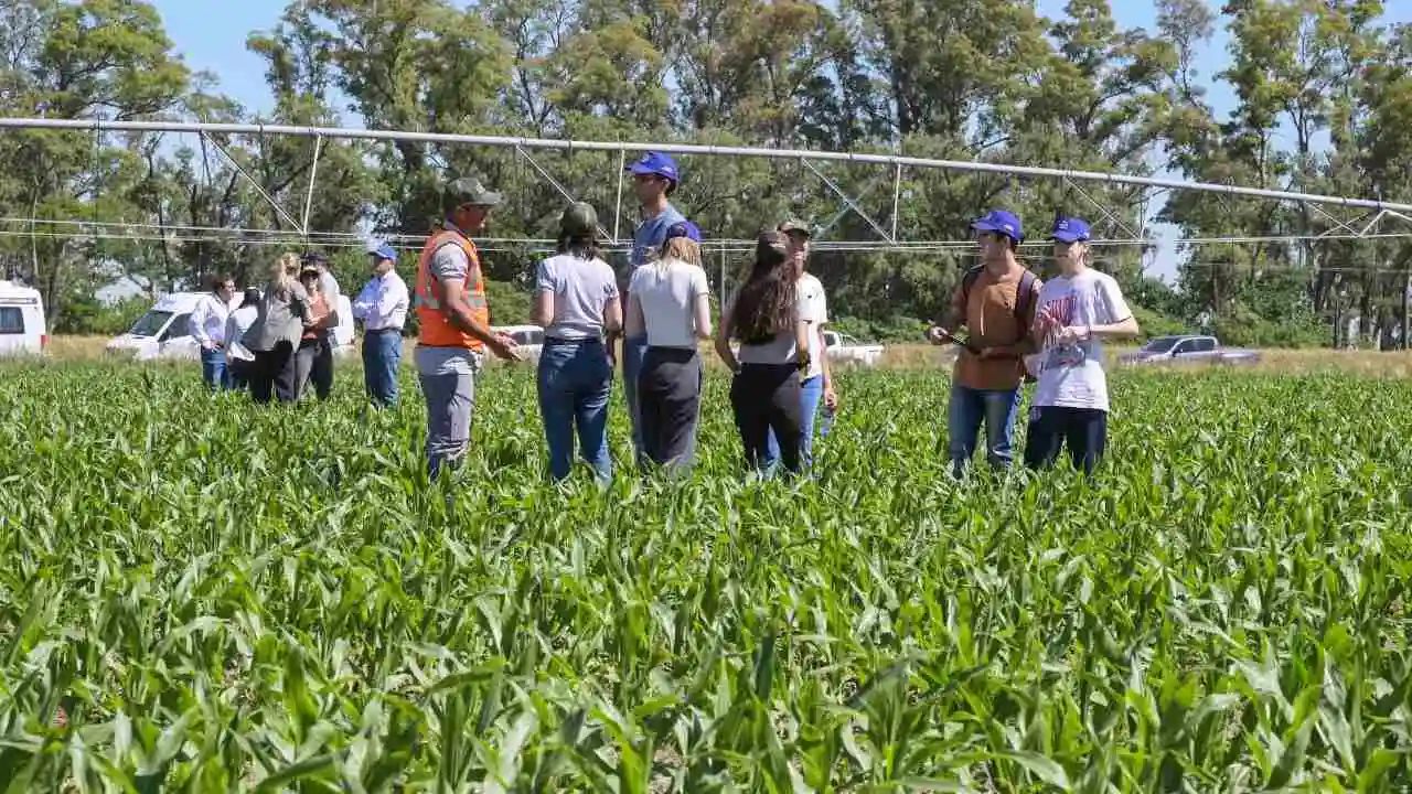+Agro +Futuro: cuando la red hace la fuerza