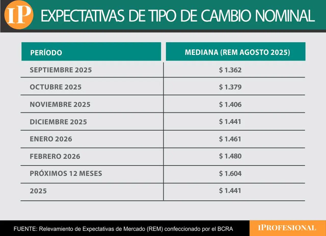 El precio de dólar mayorista esperado para fin de 2025 es de $1.441 por el REM.