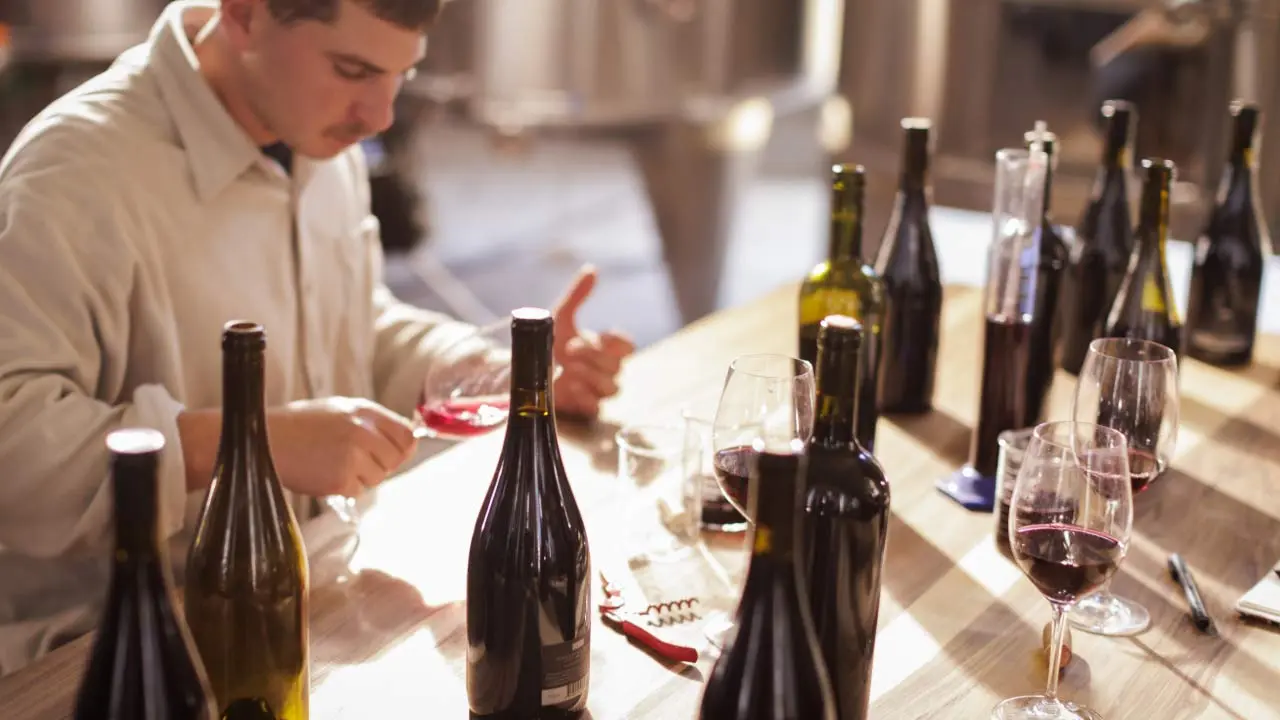 ''Nuestra filosofía enológica es de baja intervención'', destaca el enólogo de Bodega Yanay