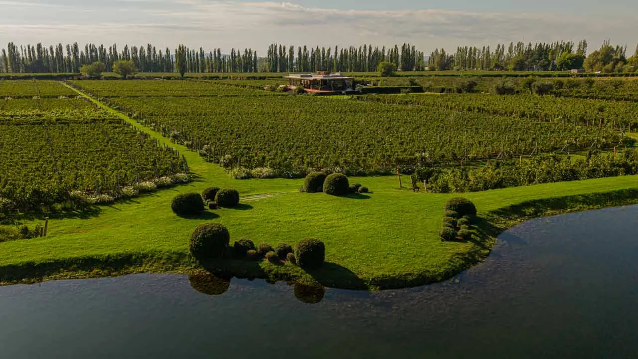 El singular caso de la bodega argentina que solo produce un vino y es referente a nivel global