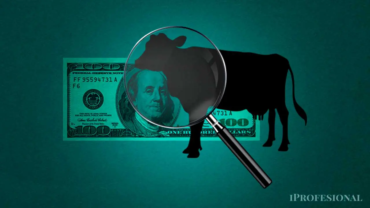 Sube el precio del asado y aparece un nuevo lema en el campo: "Hay que transformar el maíz en carne"