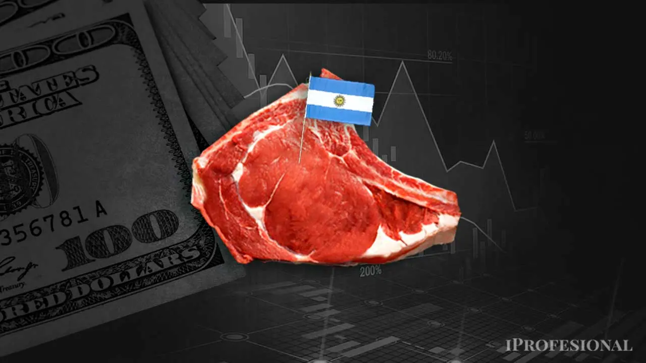 Un trozo de bife con la bandera argentina y detrás la imagen de 100 dólares