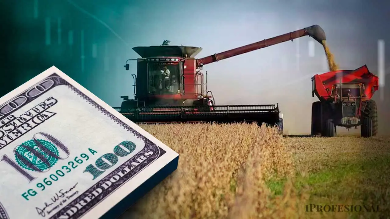 Qué productores del agro tendrán mayor liquidez inmediata, pero con controles discrecionales