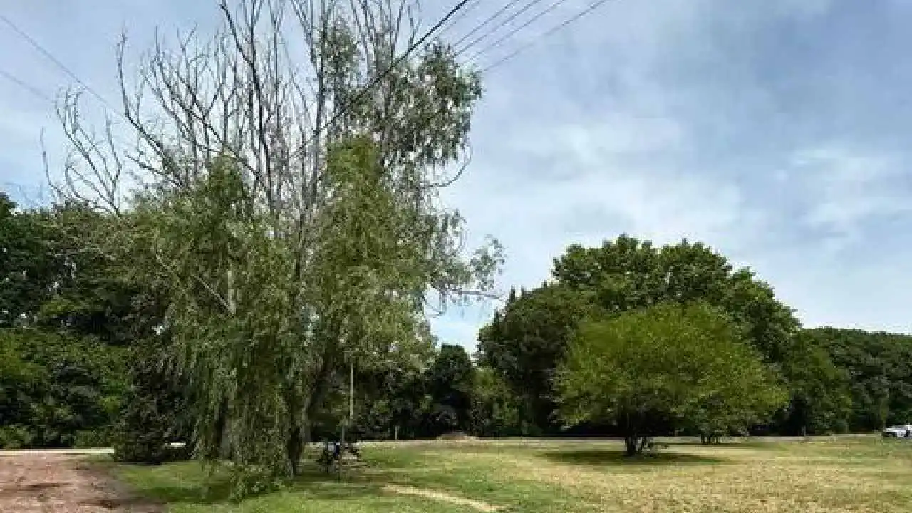 Parque Peró