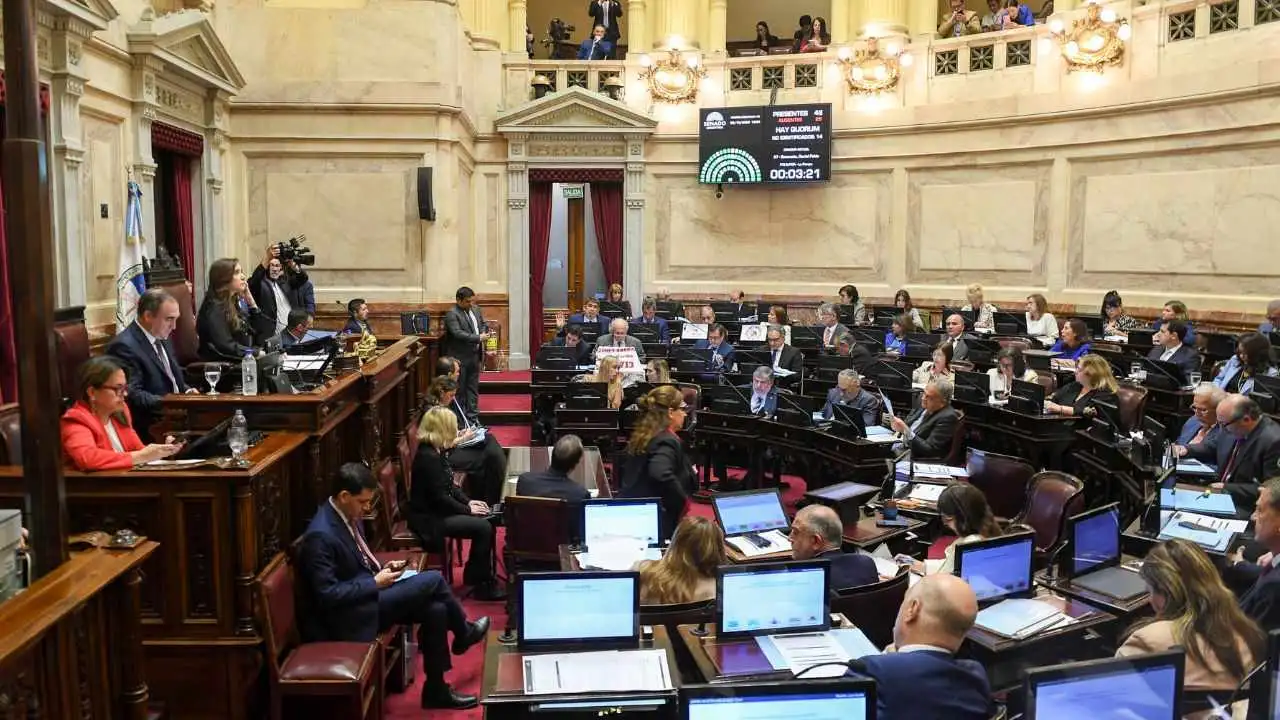 senado