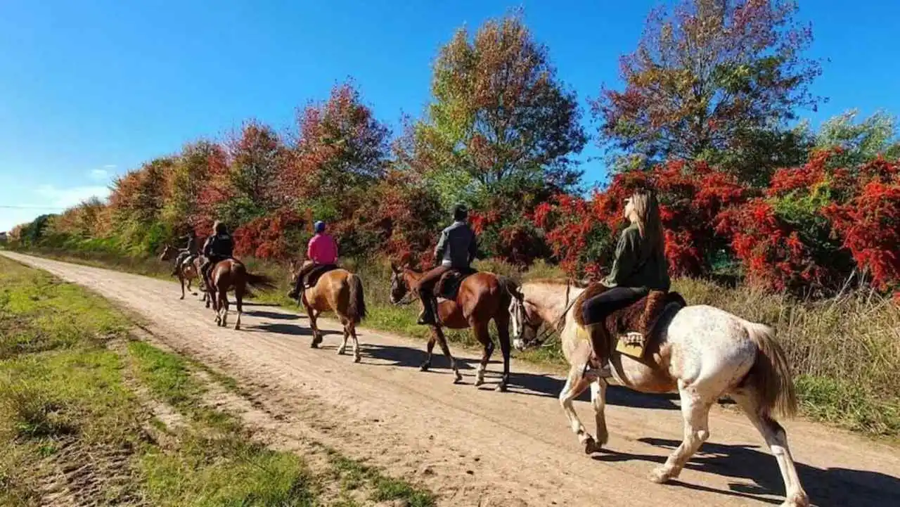 Cabalgatas