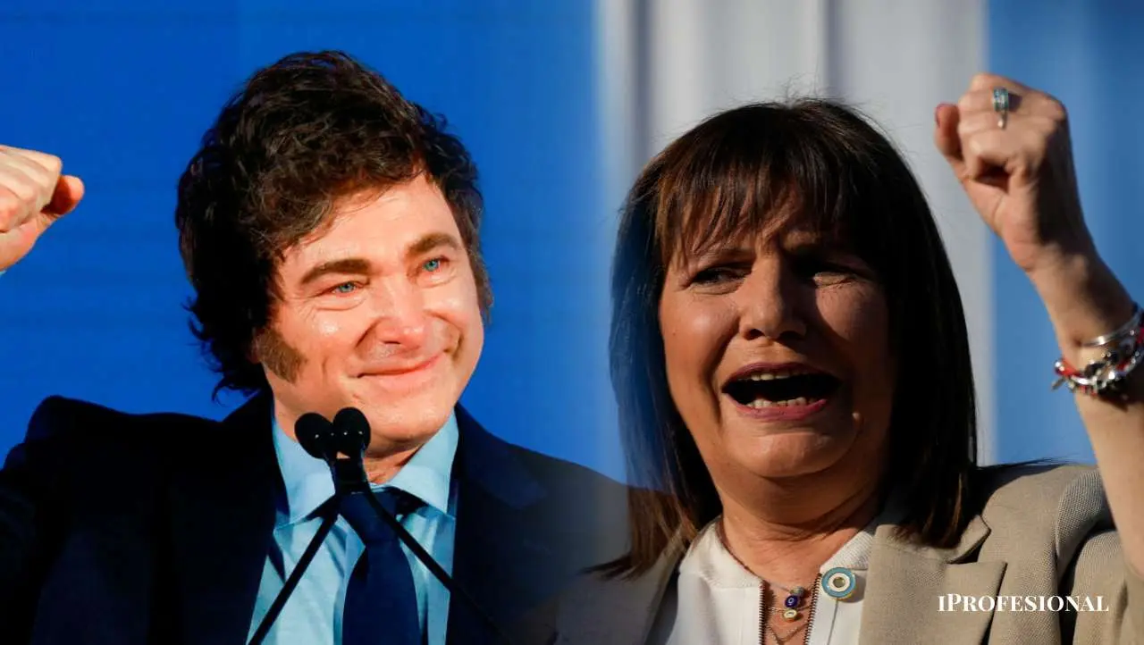 Milei se hace fuerte en el Congreso: Bullrich será jefa en el Senado y divide al PRO para blindar vetos y decretos