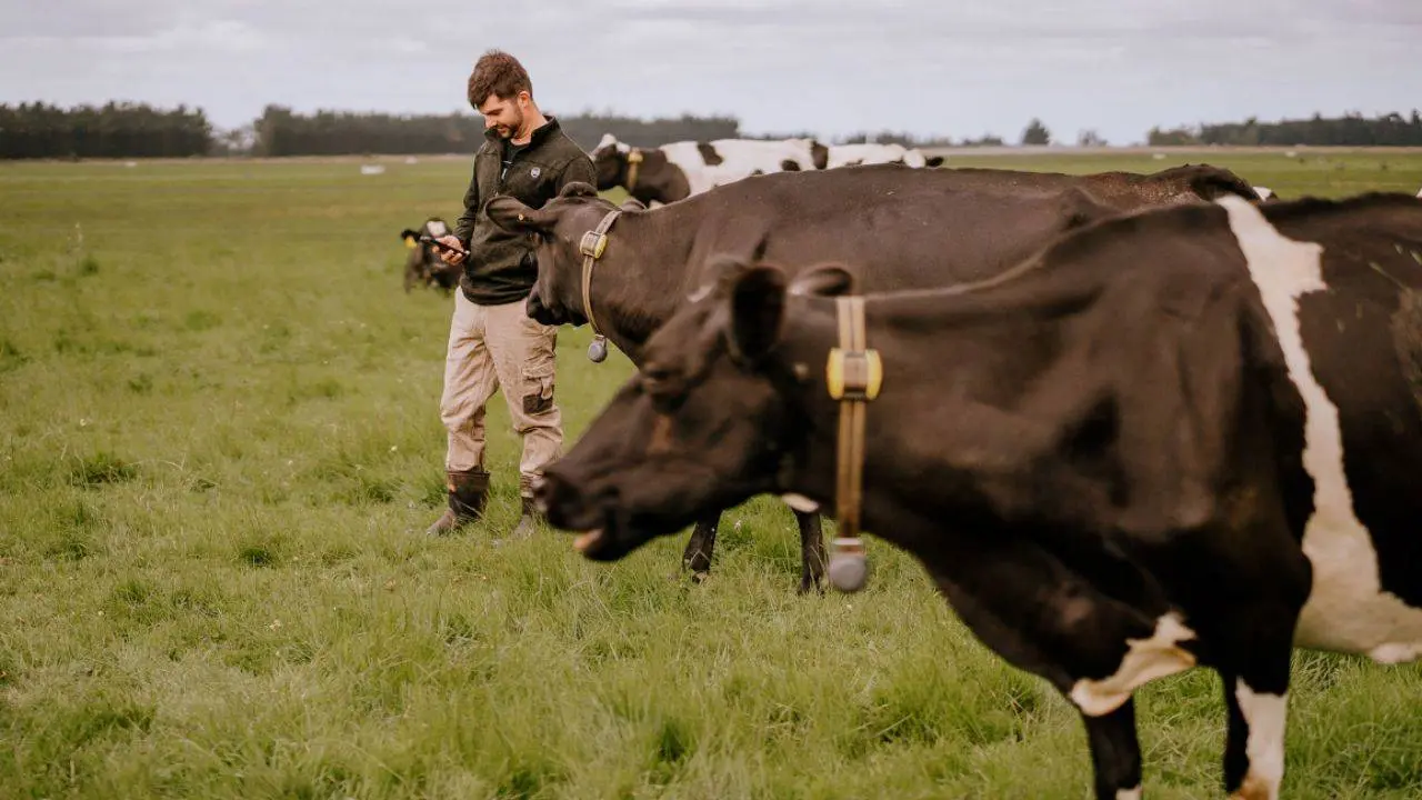 La apuesta de un conocido laboratorio que promete revolucionar un sector clave para la economía
