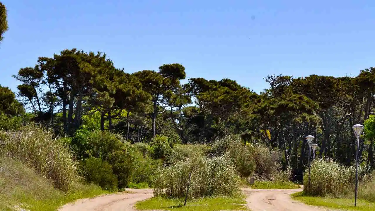 Cariló