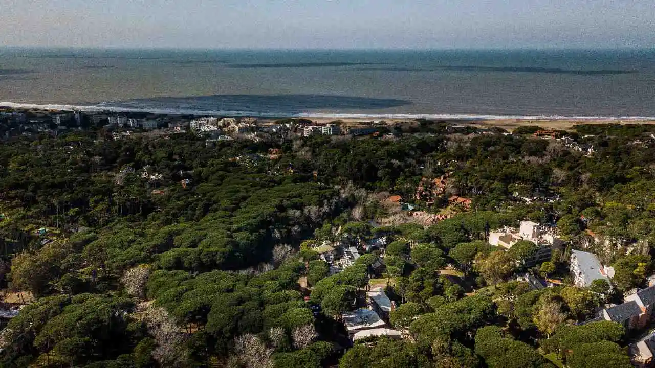 Cariló