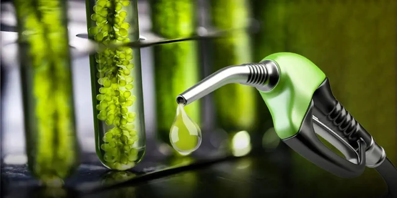 El Gobierno cambia el esquema de biocombustibles para evitar nuevas subas en el precio del gasoil