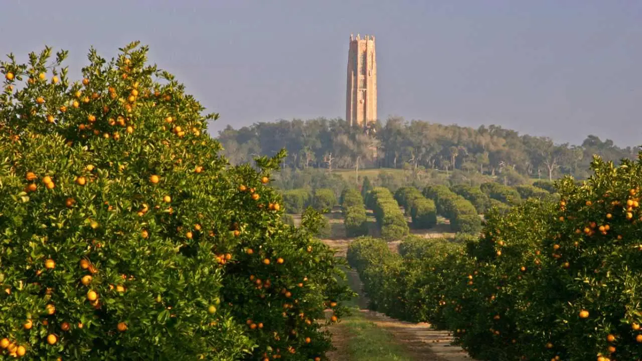 La torre de Bok Tower Gardens, que suena