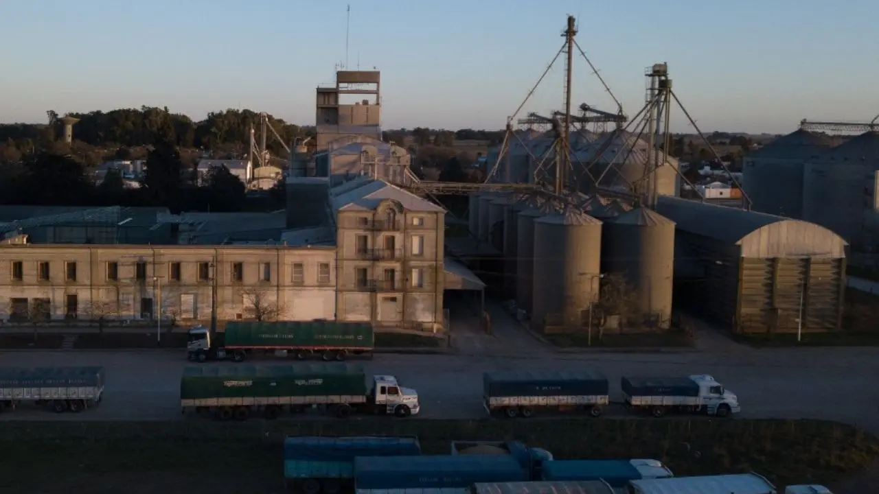 Morixe lanza un aumento de capital por u$s10 millones para continuar con su plan de expansión