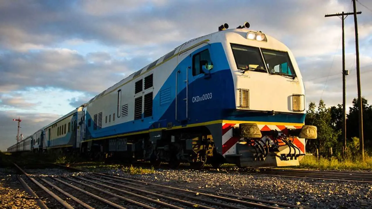 Trenes a Mar del Plata y Rosario en junio: cómo viajar con tu mascota
