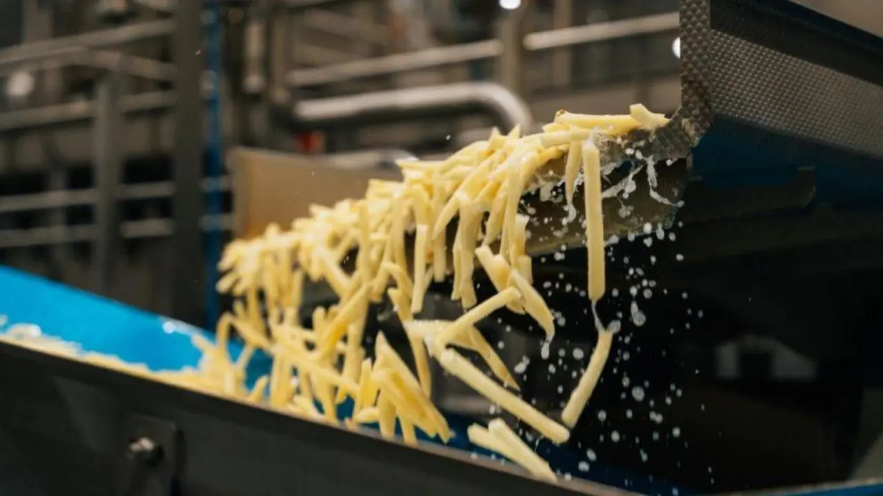 Multinacional que produce papas fritas congeladas cerró una planta en el país y despidió a 100 personas