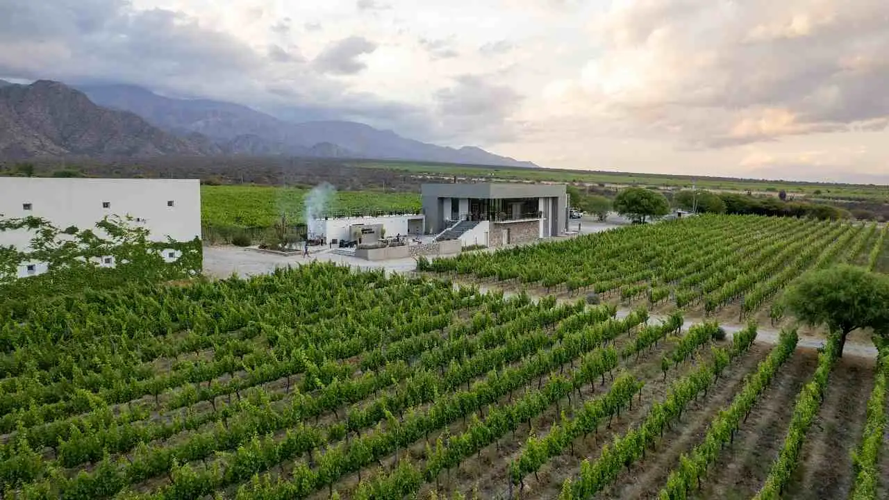 Bodega Dal Borgo