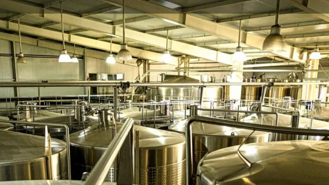 La bodega tiene capacidad para 3 millones de litros de vino
