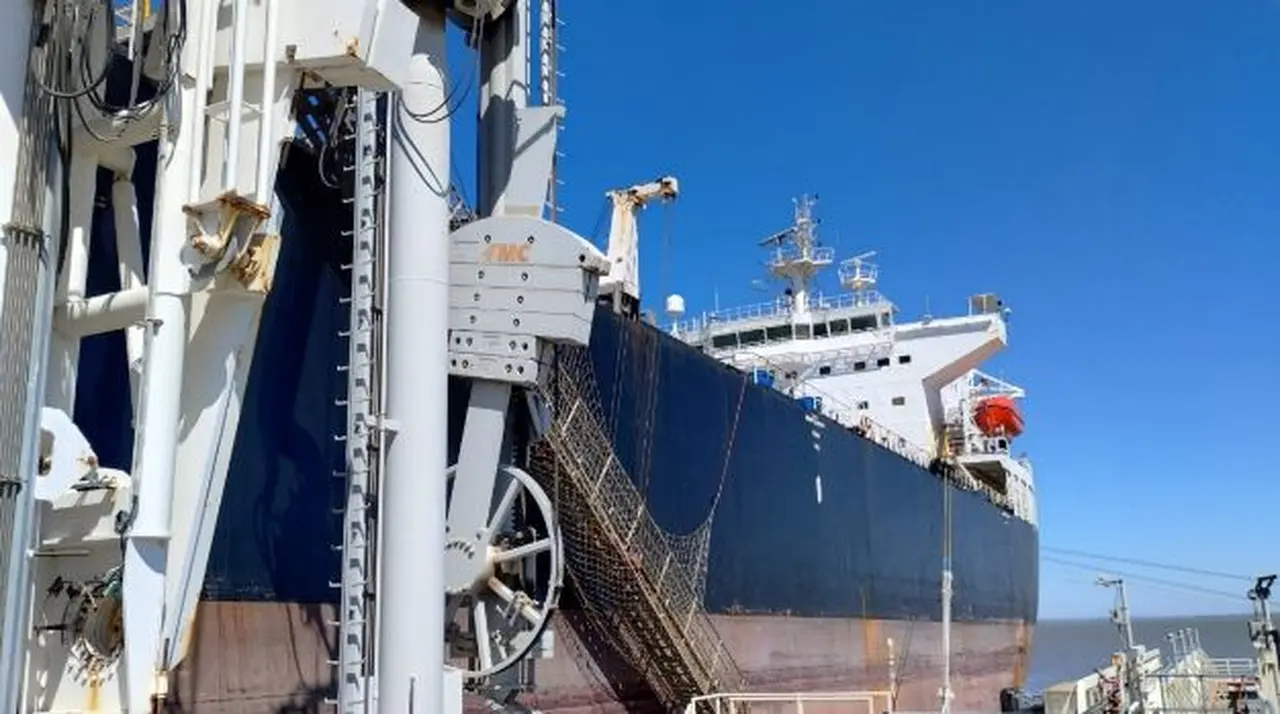 Trafigura exporta