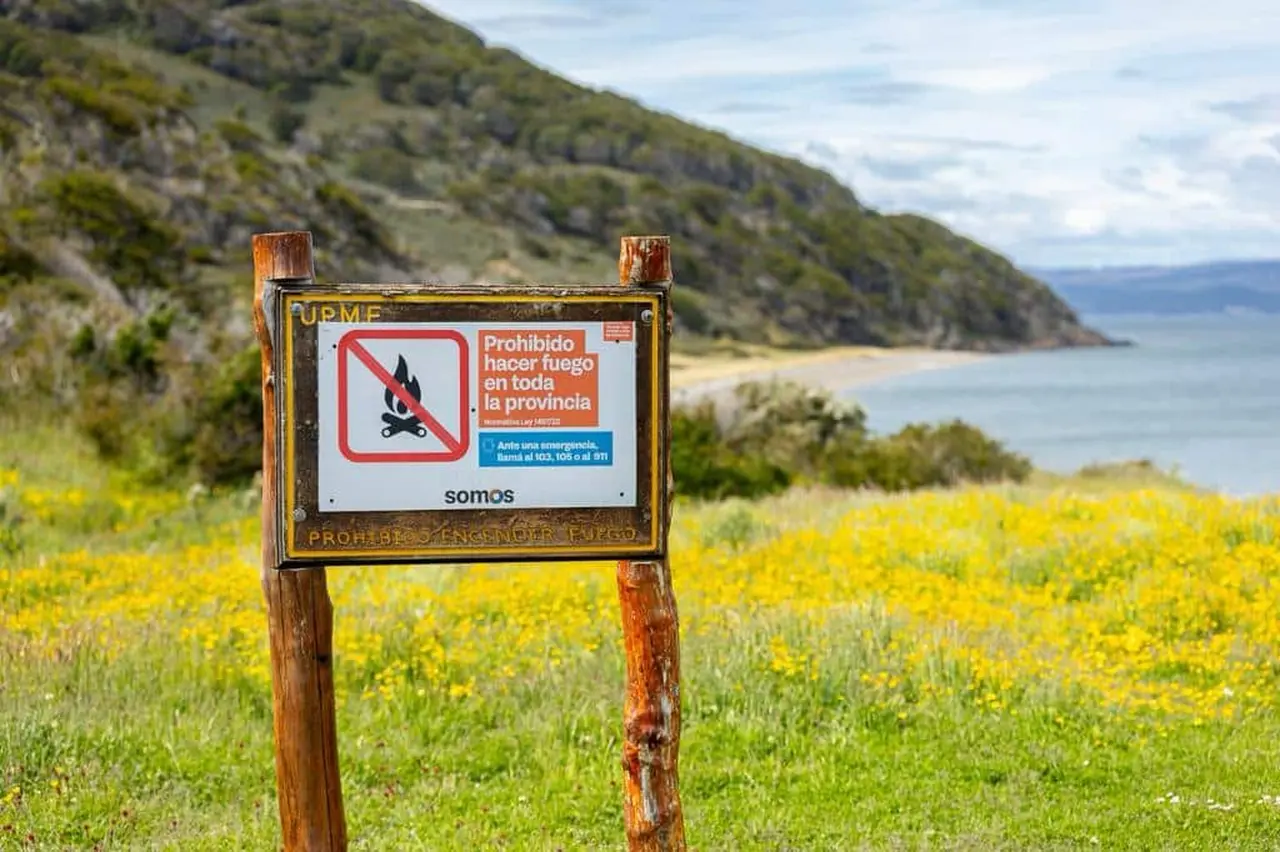 Viajar a la Patagonia en plena temporada de incendios: qué hacer y qué evitar