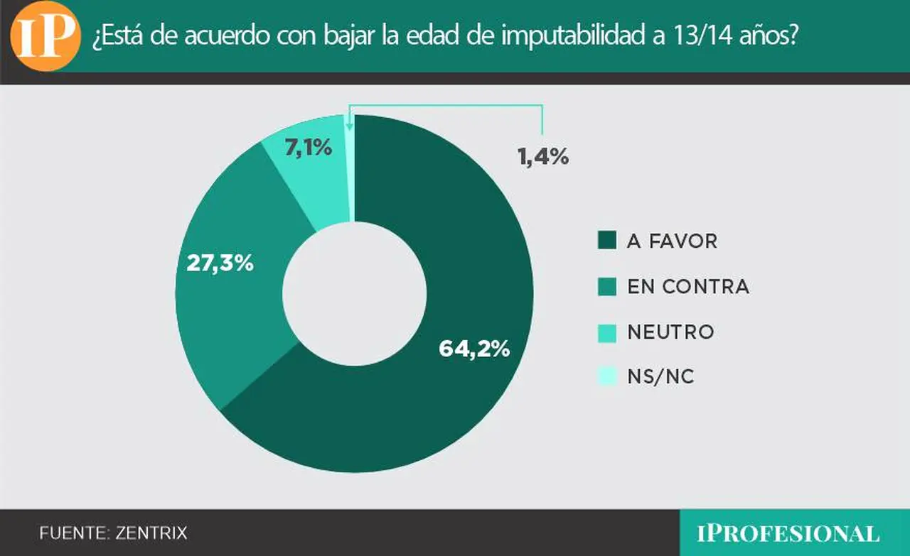 El nuevo régimen penal juvenil es la propuesta de Milei con más respaldo social, según la encuesta