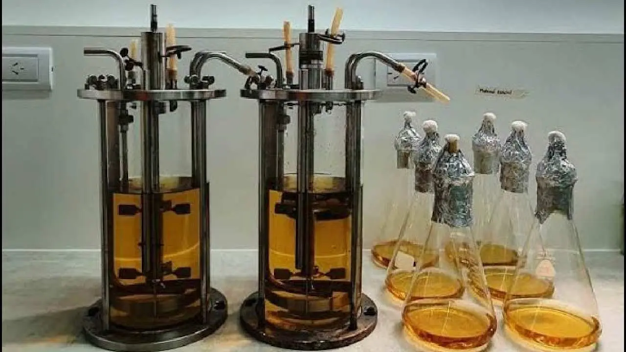 Los bionanoinsumos son productos para el campo que combinan la biología con la nanotecnología para p