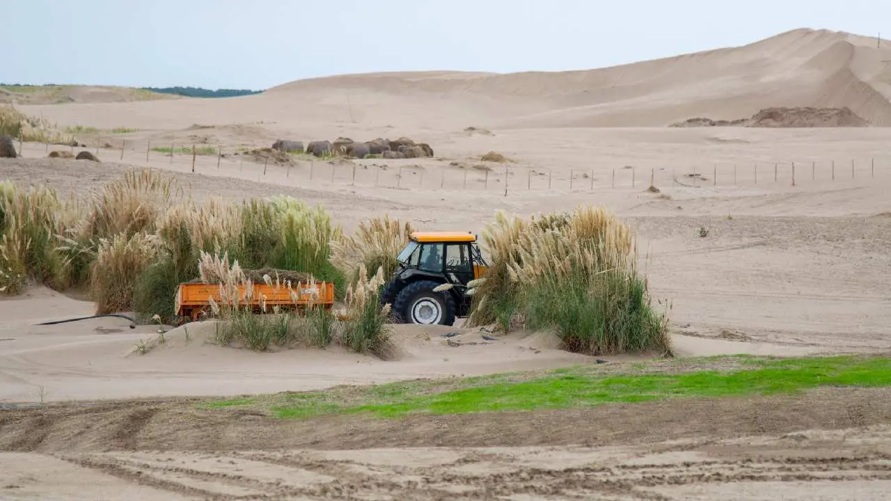 medanos
