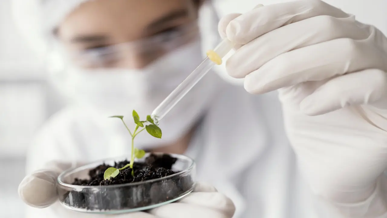 Made in Argentina: el producto nanotecnológico que mejora hasta un 32% el rendimiento de los cultivos que el cambio climático destruye