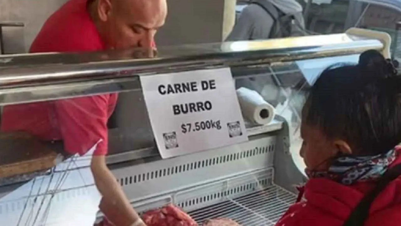 Empezó a vender carne de burro y fue un éxito total: "Se llevaron todo en un día"