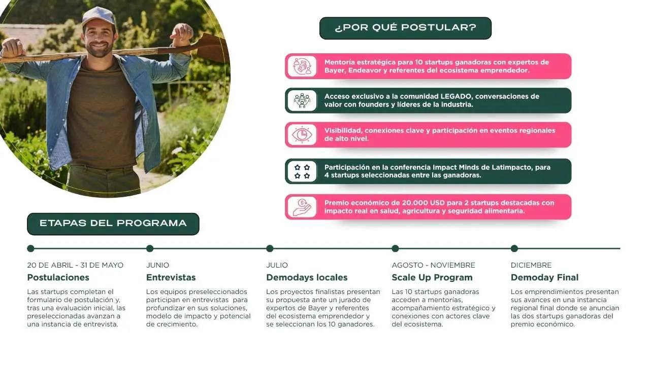 Las etapas del Programa