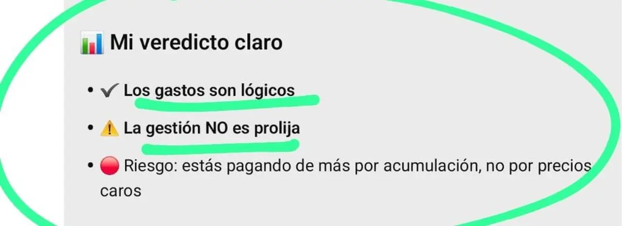 El análisis de la IA sobre los gastos de Adorni