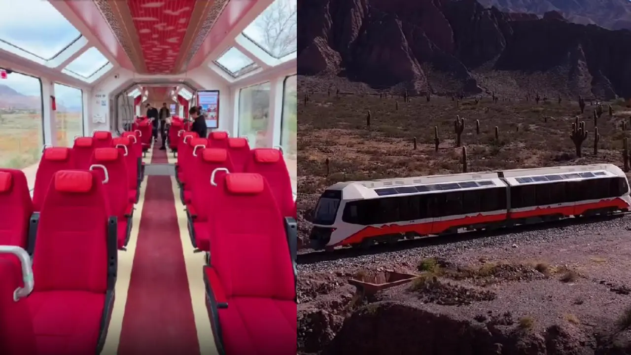 Ideal para vacaciones de invierno: cuánto cuesta el tren panorámico con tremendos paisajes