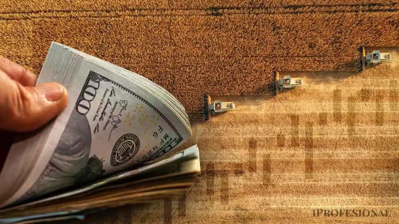 Cuántos dólares hay en granos sin vender y cuánto pueden aportar al mercado cambiario