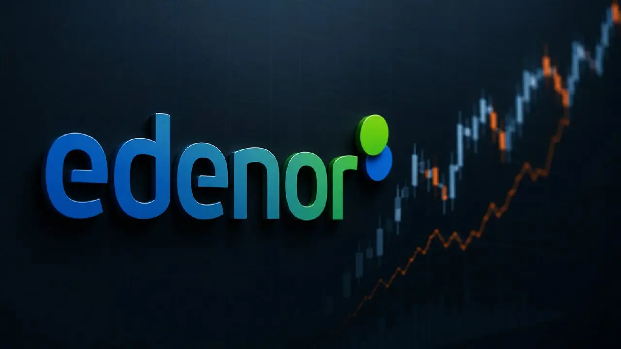 Edenor busca ampliar su capacidad de deuda mientras expande sus negocios