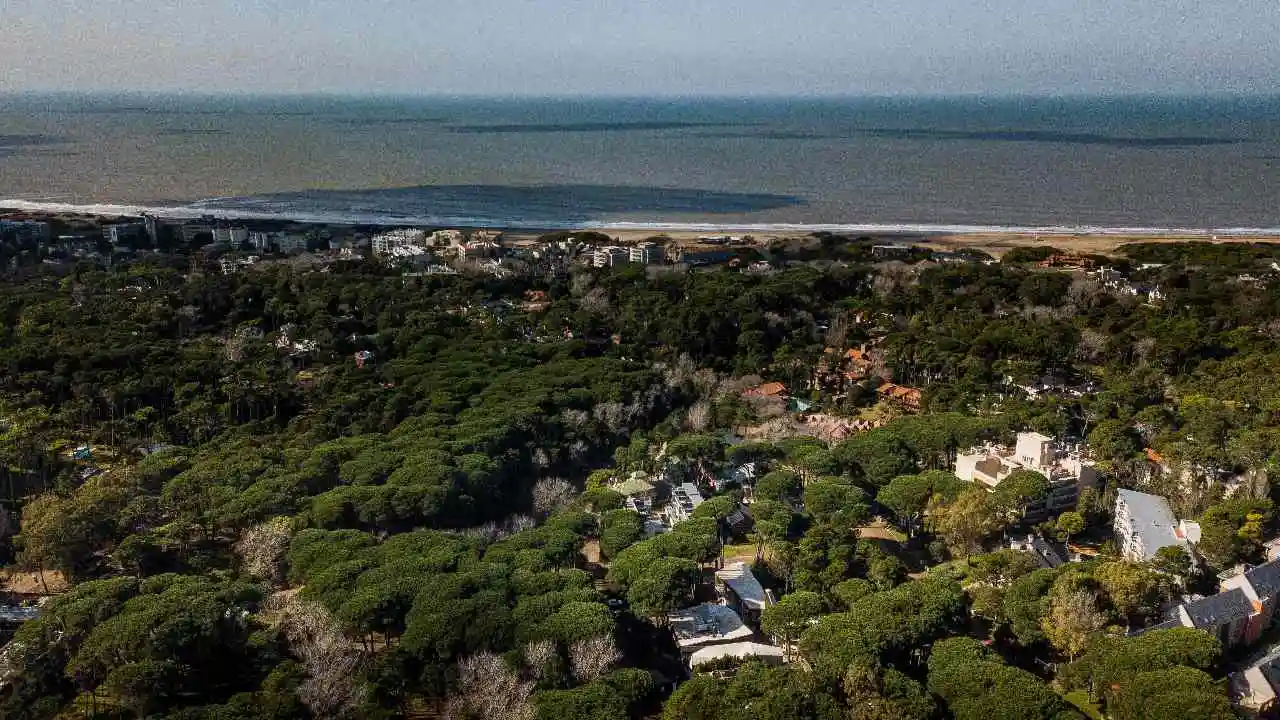 cariló