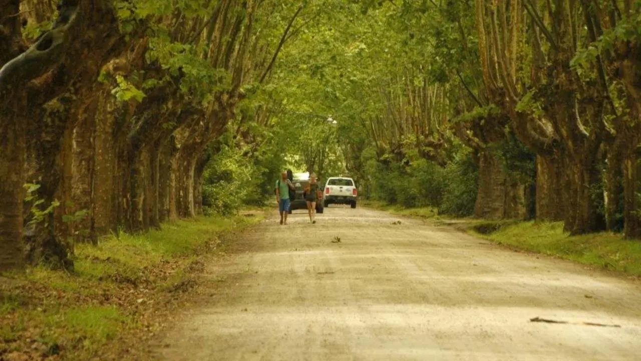 Una de las postales de Pipinas