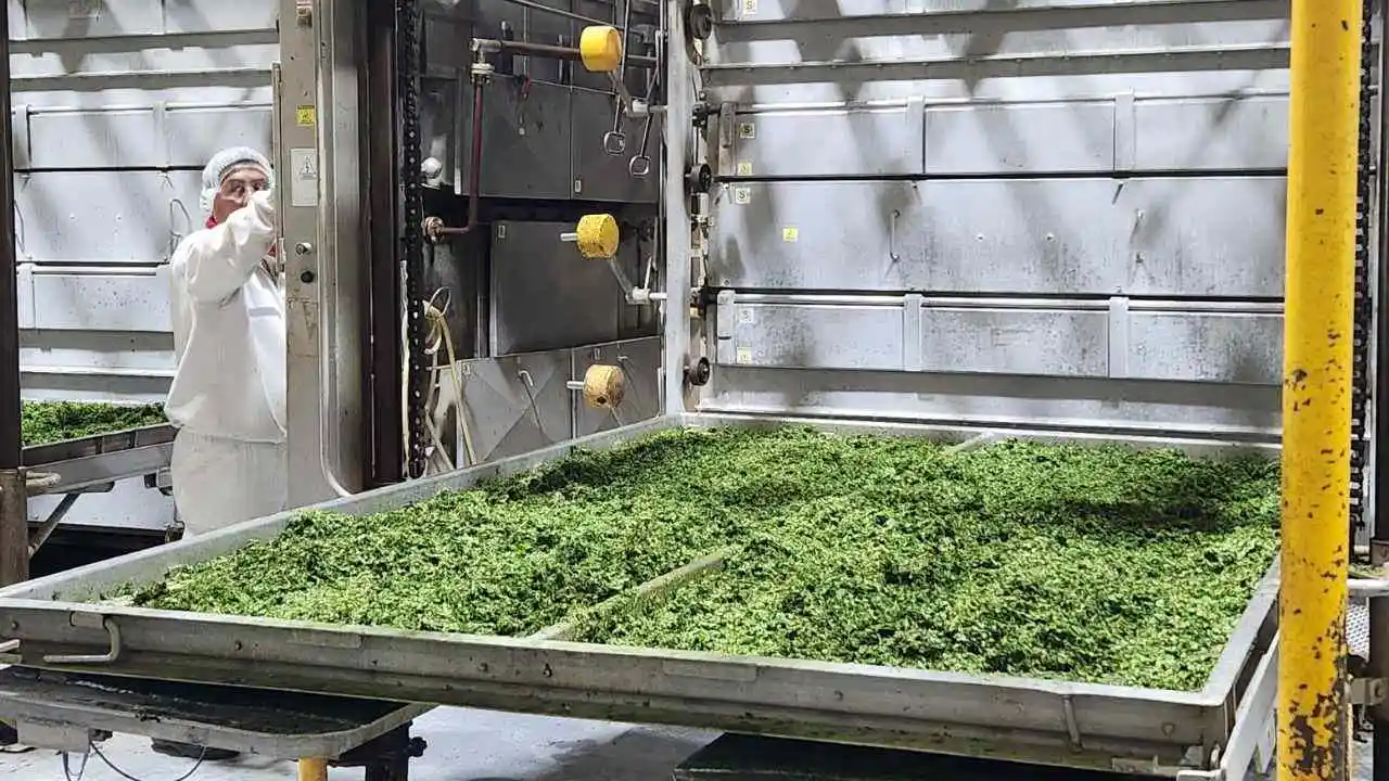 Trabajador en la planta procesadora de alimento seco de Unilever.