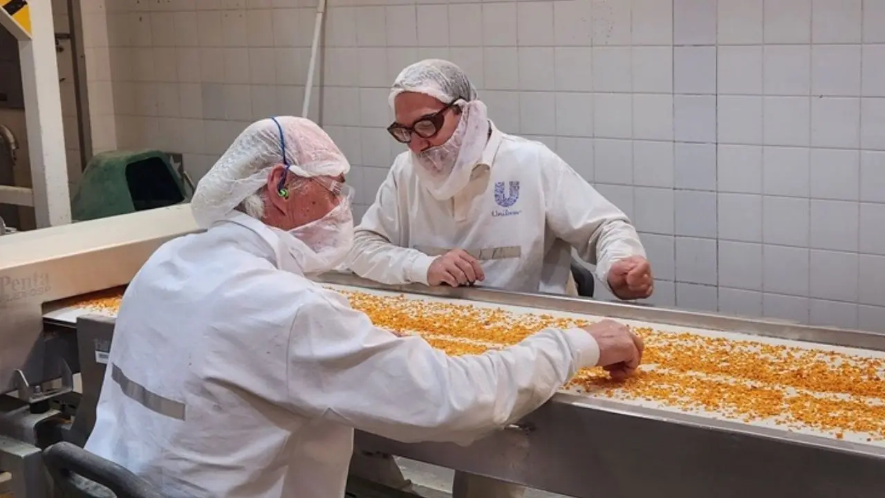 Trabajadores en la planta que producía vegetales deshidratados y productos marca Knorr